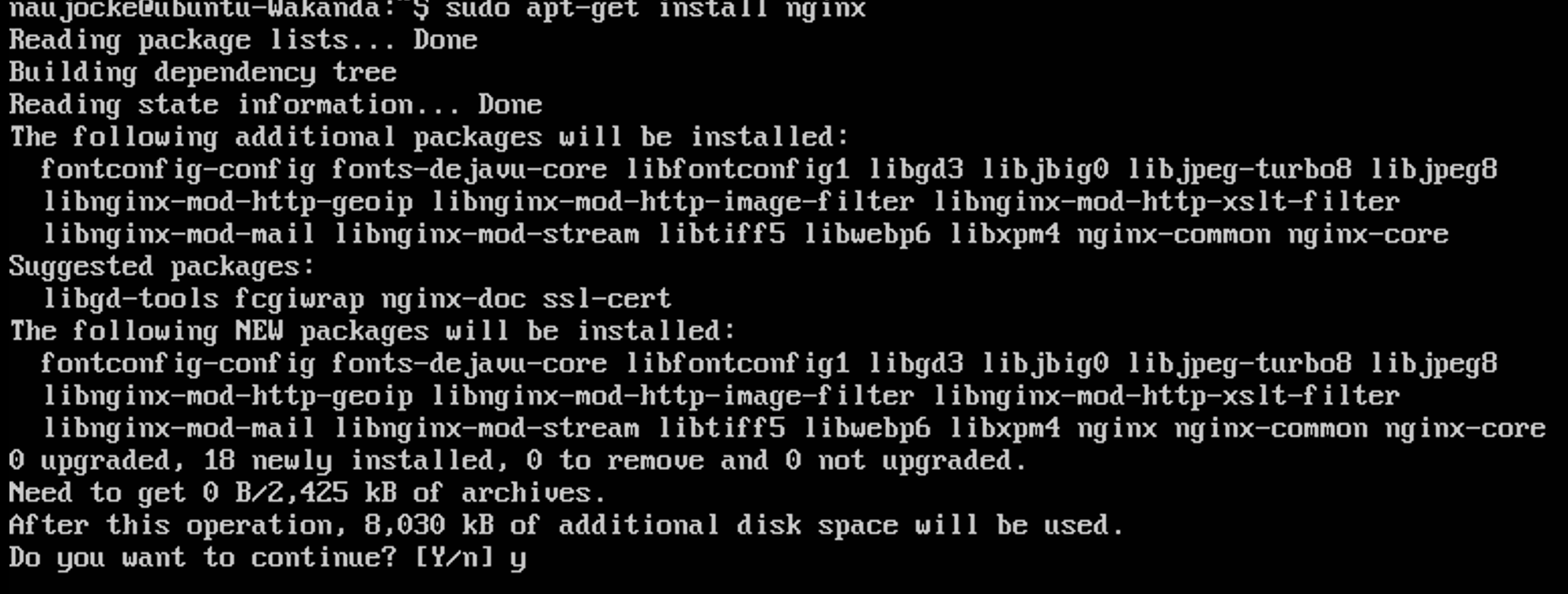 Screenshot of NGINX confirmation.