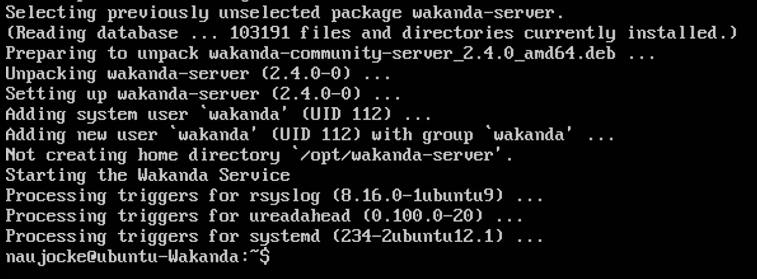 Installation of the Wakanda server
